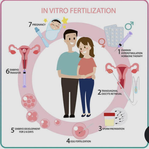 IVF Fund!