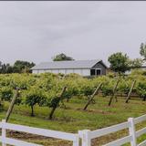 Next Chapter Winery