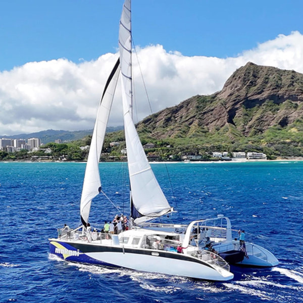 Private Catamaran Cruise