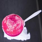 Hansen's Sno-Bliz