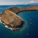 Snorkel Molokini