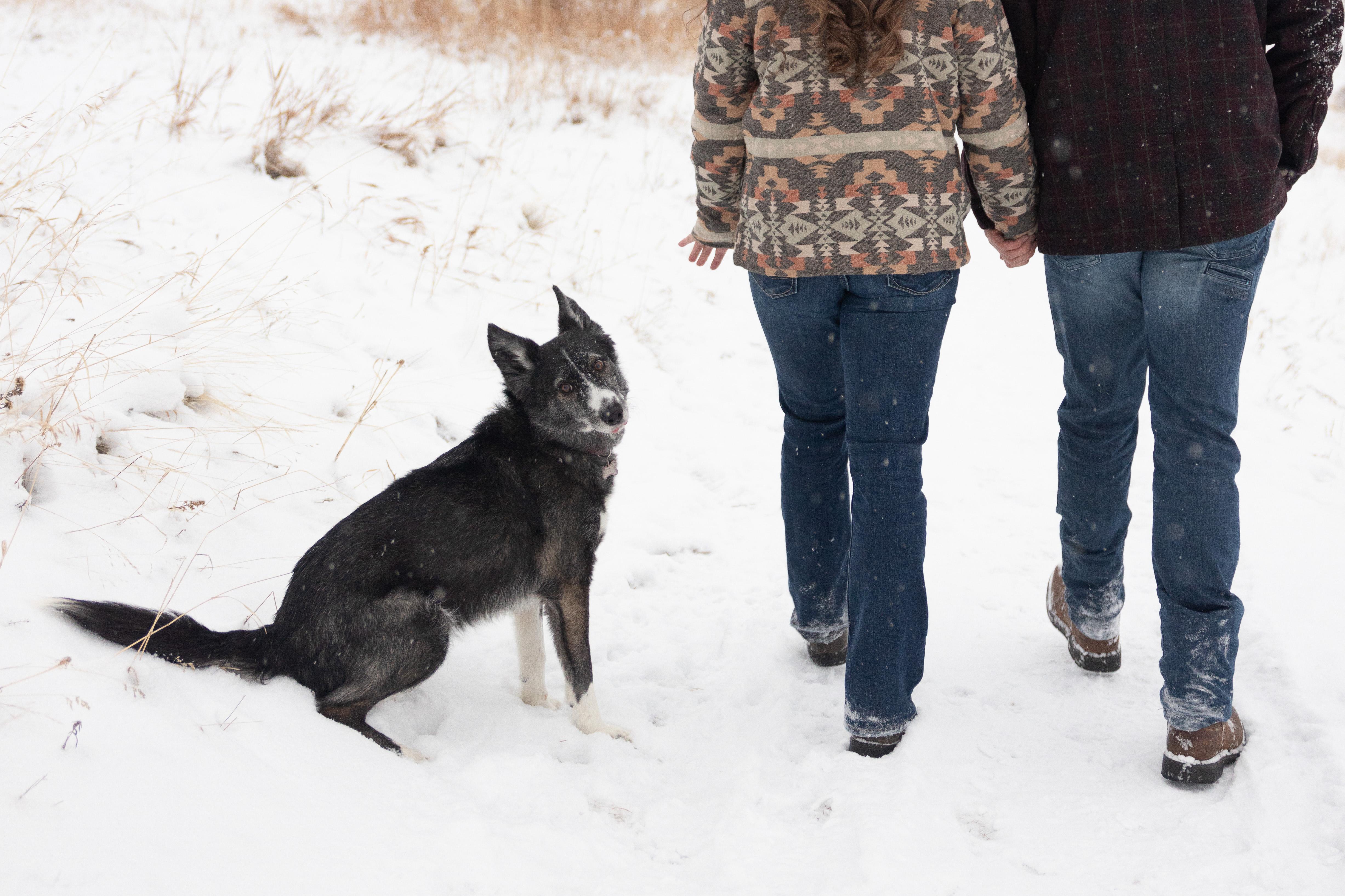 The Wedding Website of Kaylee Evans and Fred Sanders