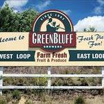 Green Bluff