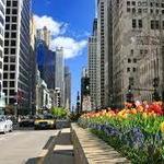 Magnificent Mile