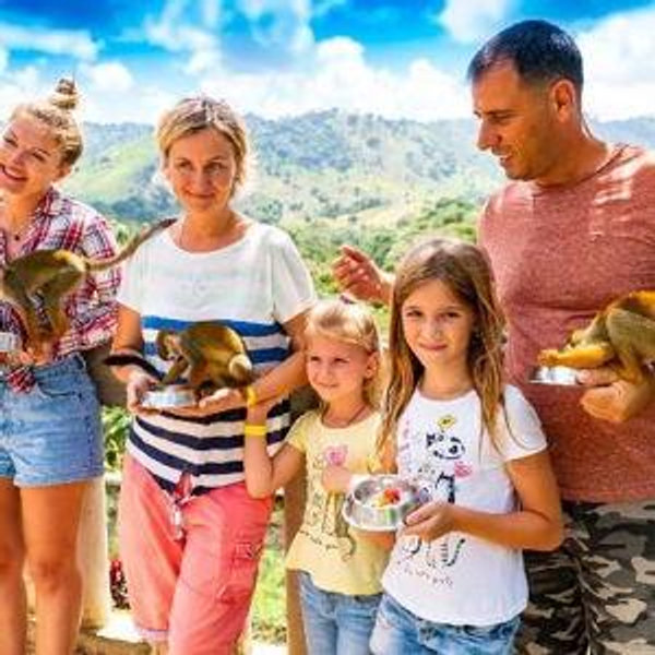 Monkey Land Experience