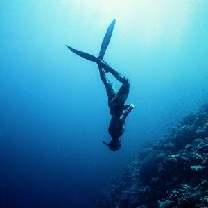 Snorkel gear