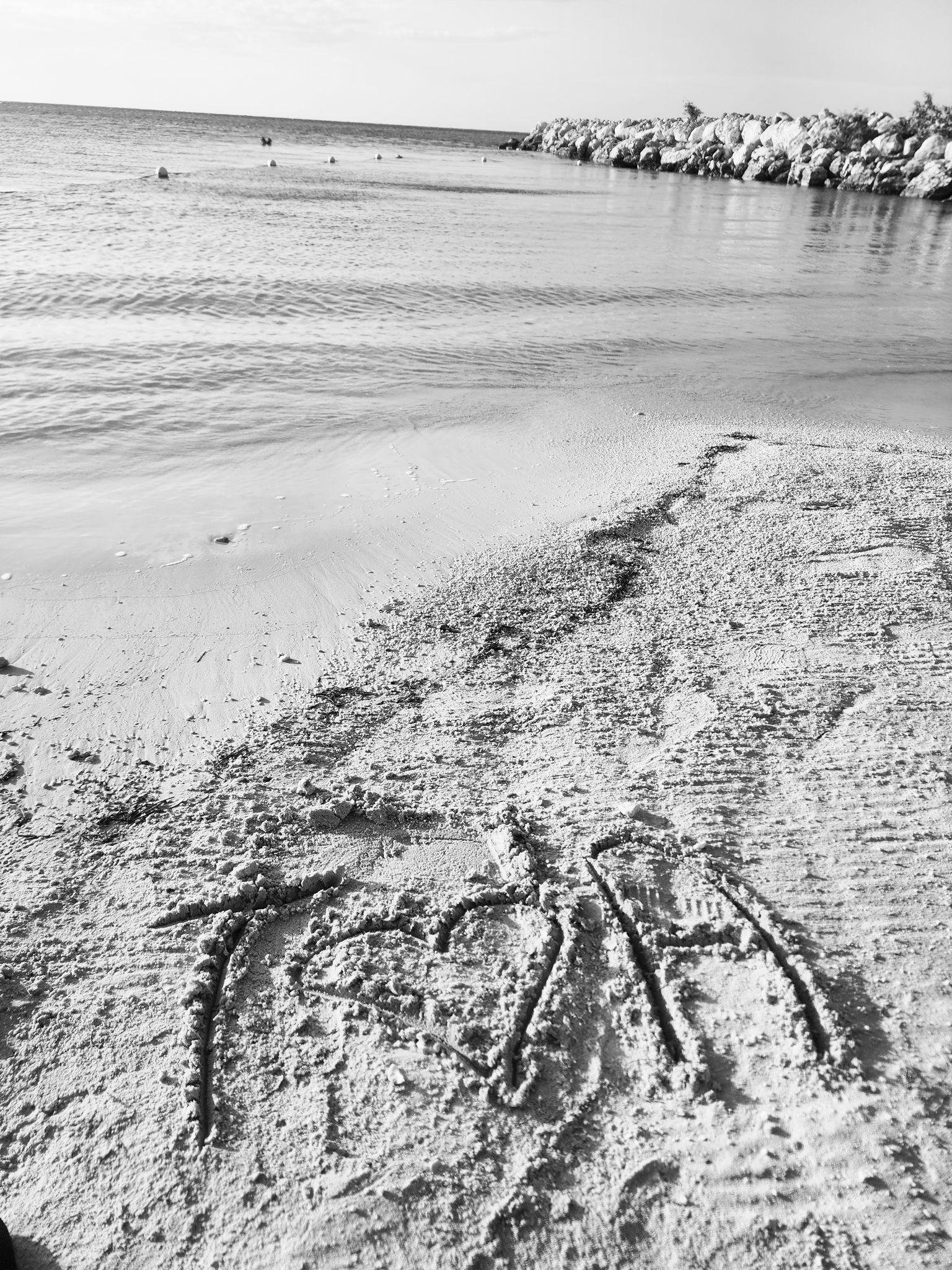 The Wedding Website of Trevell Hamm and Asia Wragg