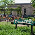 Colectivo Coffee on the Lakefront