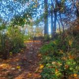 Carkeek Park