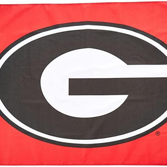 BSI NCAA 3 X 5 Foot Flag with Grommets
