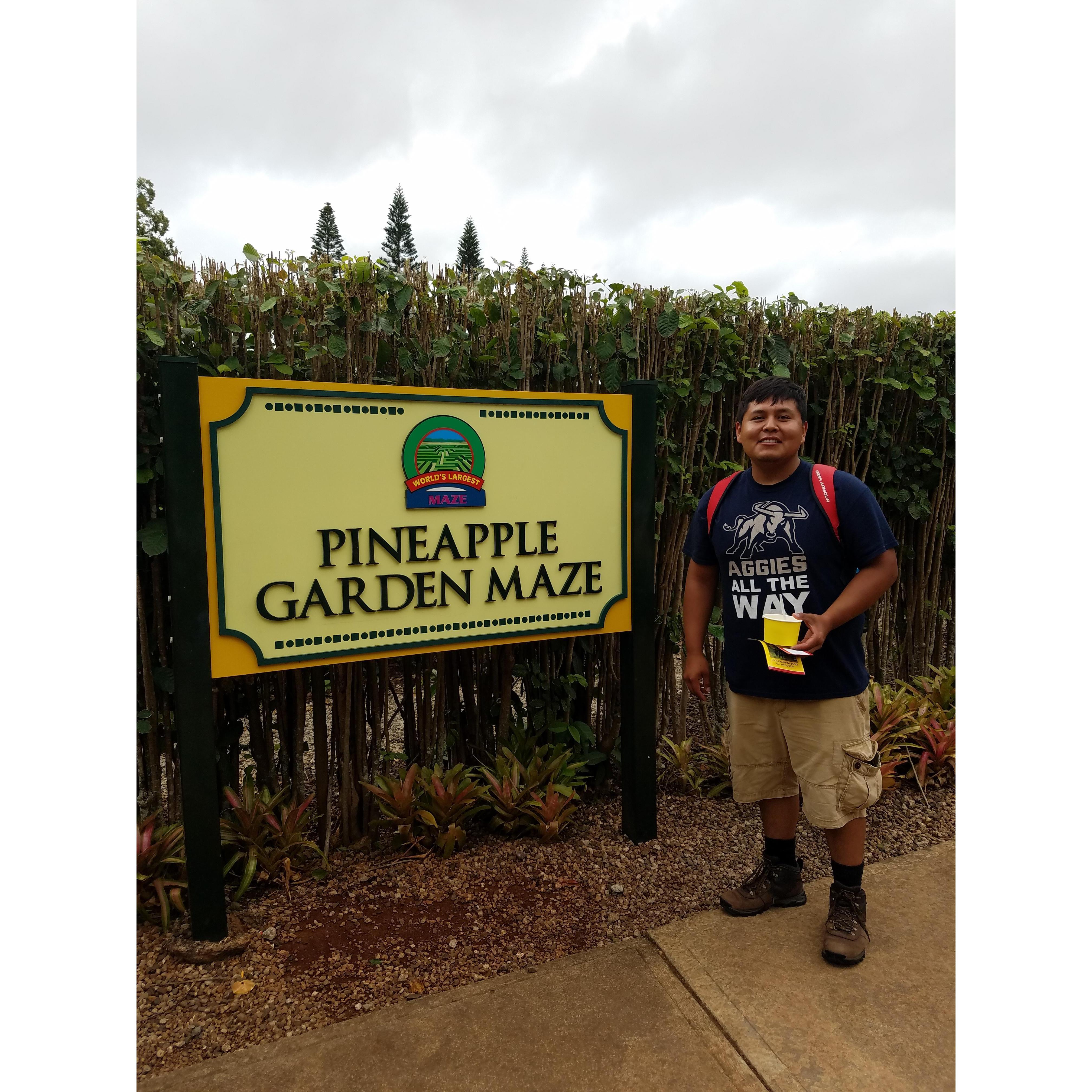 Just before walking through the Dole Plantation maze- June 4, 2017