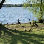 Green Lake