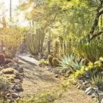 Tucson Botanical Gardens