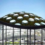 California Academy of Sciences