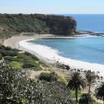 Abalone Cove Beach and Hiking Trails