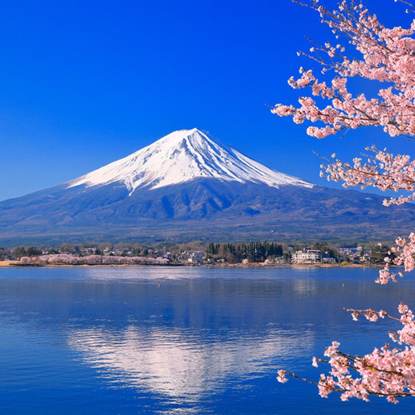 Our Dream Vacation