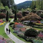 Fairchild Tropical Botanic Garden