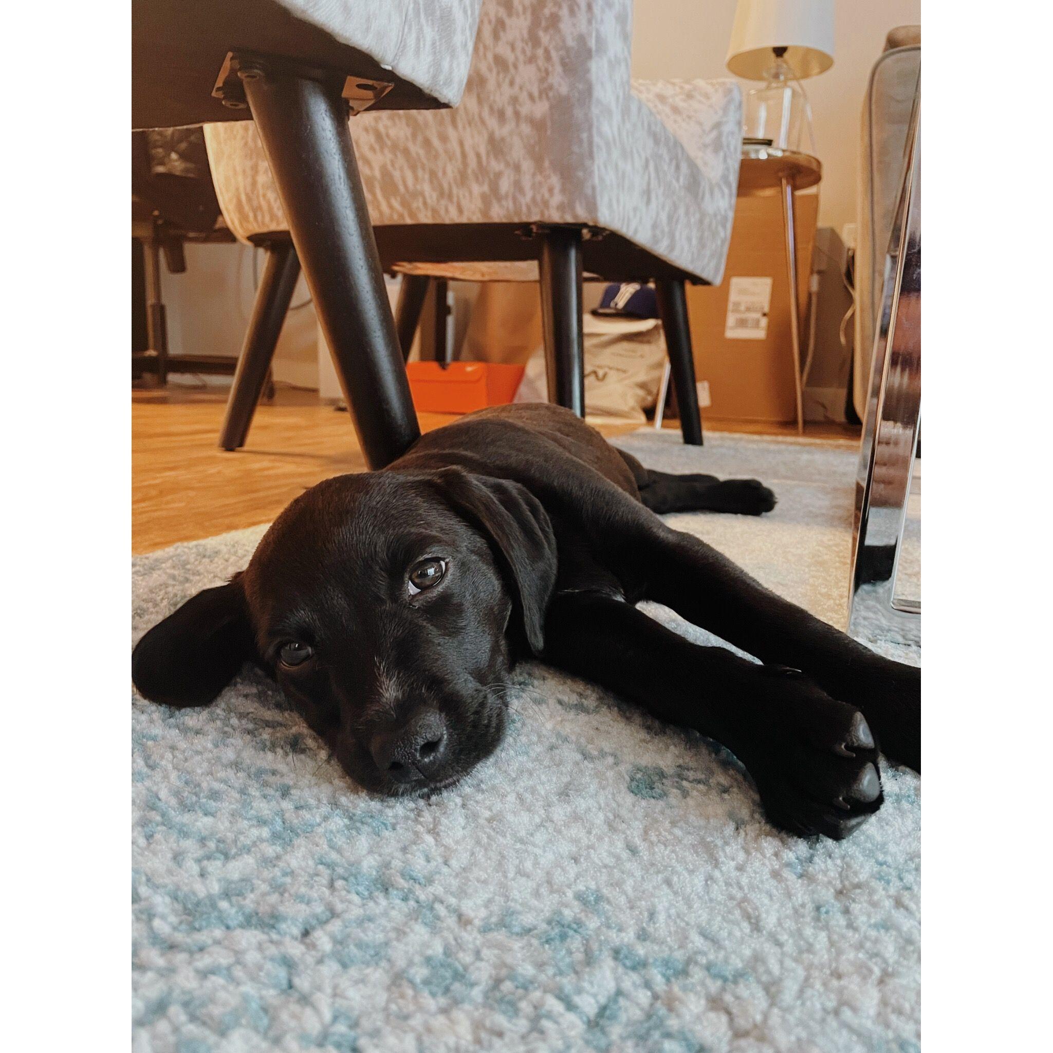 When we brought Daisy home