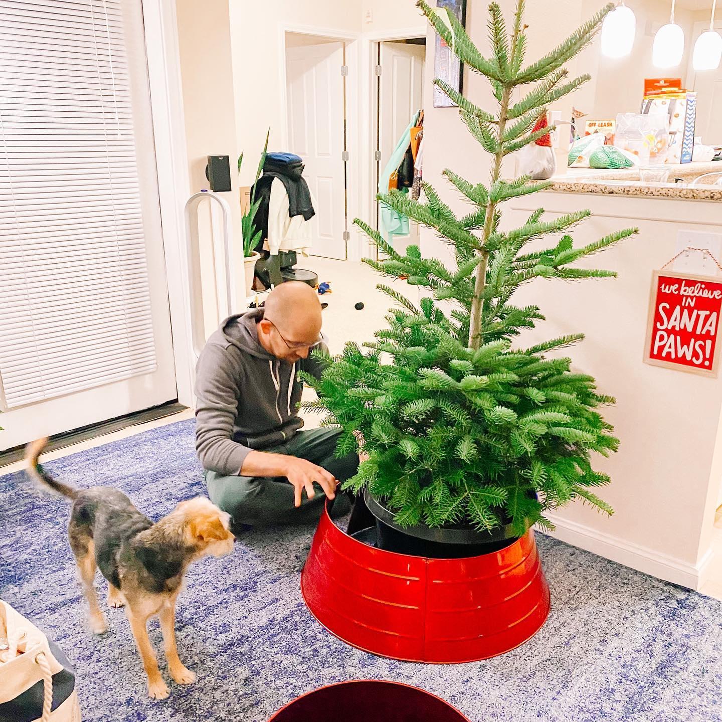 Our first Christmas together with Linus the living tree.