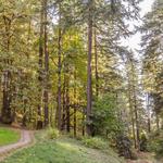 Mount Tabor