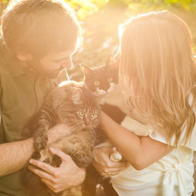 Left: Eevee
Right: Slash