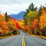 See New England!