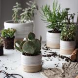 Trunk Garden Plant Pot