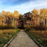 Hiking -multiple options
