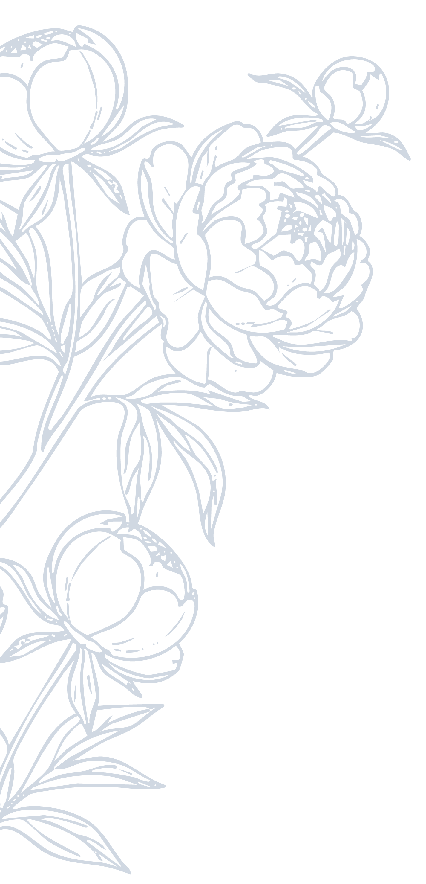 peonies