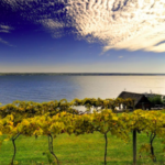 Finger Lakes Wineries