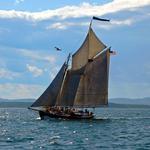 Windjammer Day Cruise