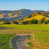 Santa Ynez Valley