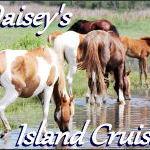 Daisey's Island Cruises - Booking Office