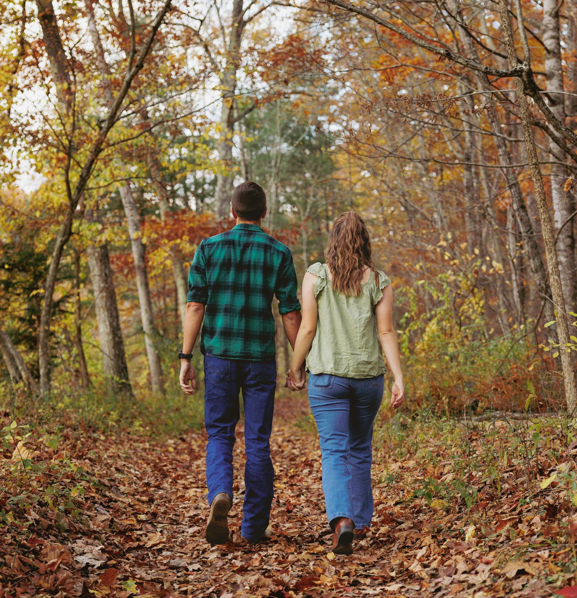 97bb2764-c667-4c25-bb2d-d0ea4c1535d8