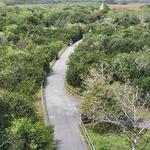 The Everglades (Shark Valley Visitor Center)