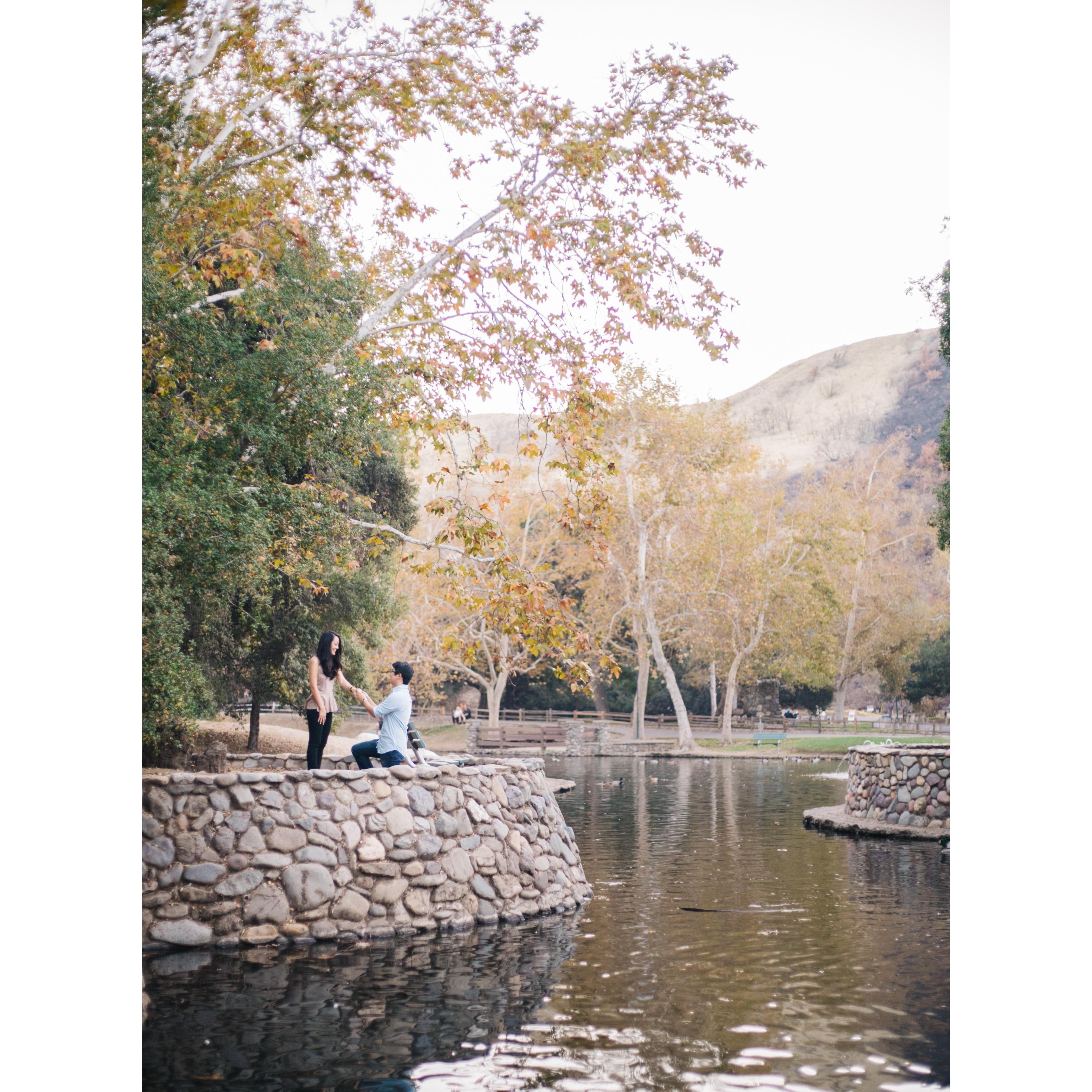 Proposal at Irvine Regional Park!