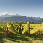 Sonoma County