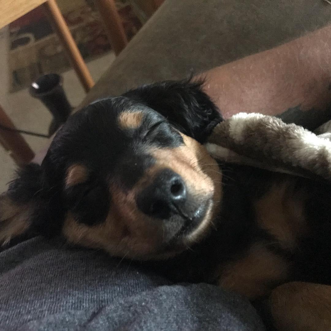 Baby Rufio!