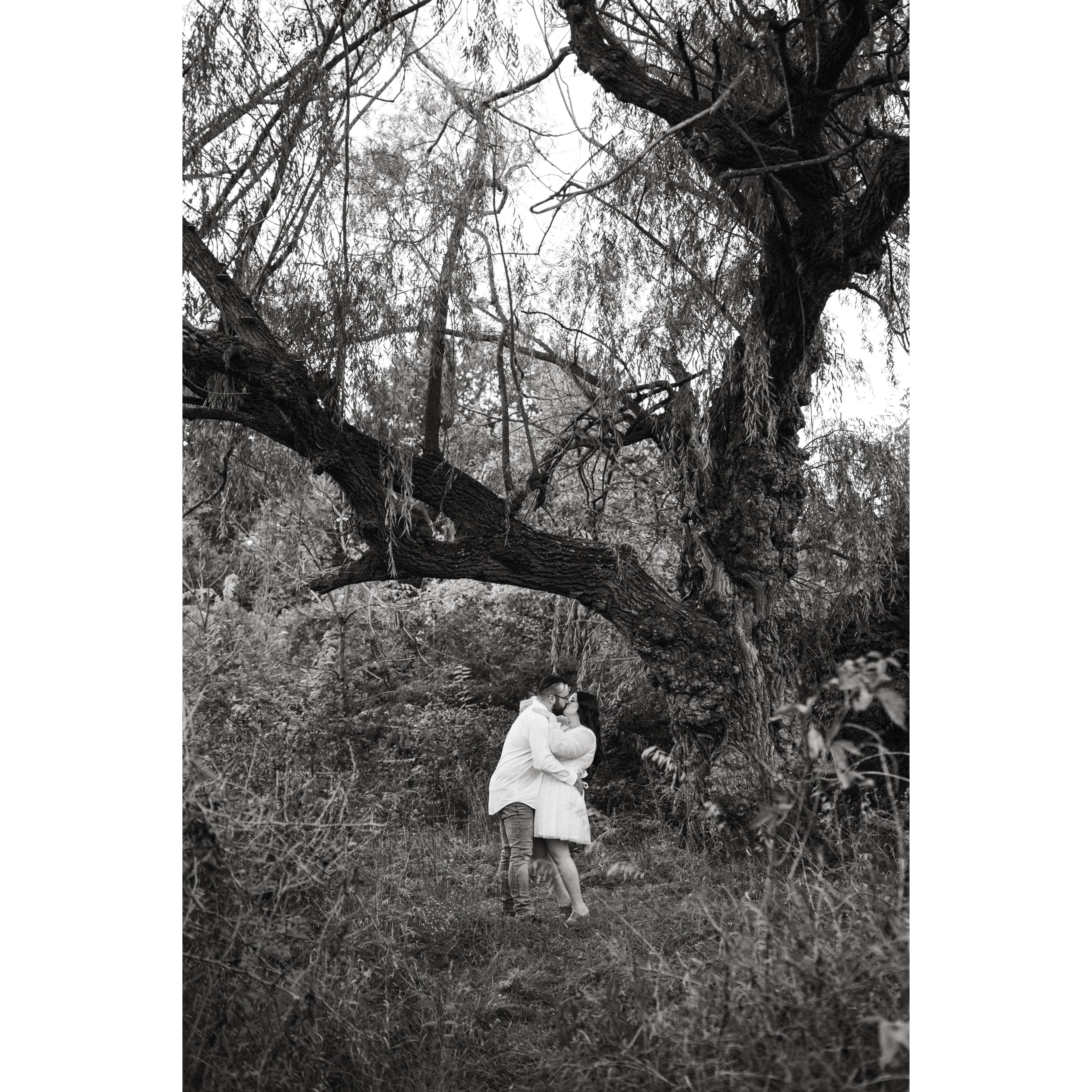 Feeling like a fairytale