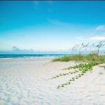 The Beach