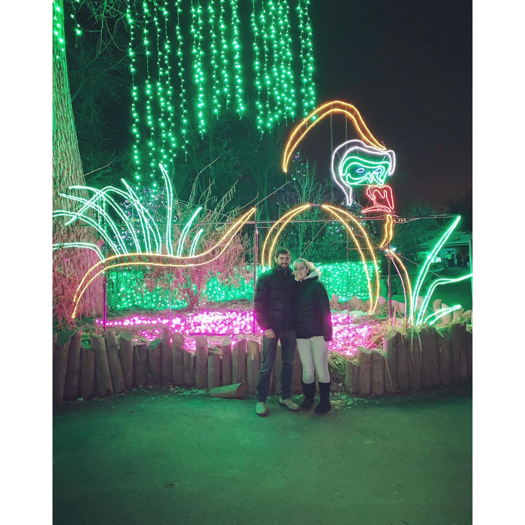 Zoo lights