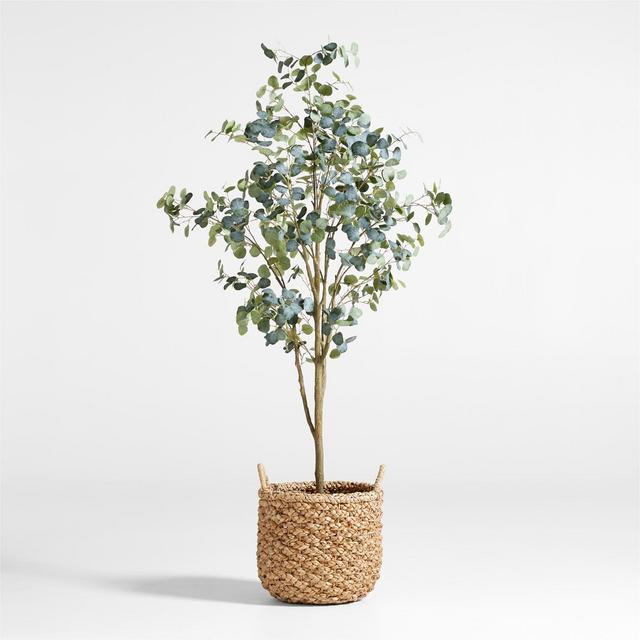 Faux Silver Dollar Eucalyptus Tree 8'