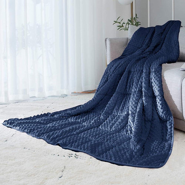 ALANSMA Reversible Weighted Blanket for All Season, Luxury Velvet, Warm and Cool, Adult Kids 10Lb Weighted Blanket, Enjoy Sleeping Anywhere(Blue,10Lb)