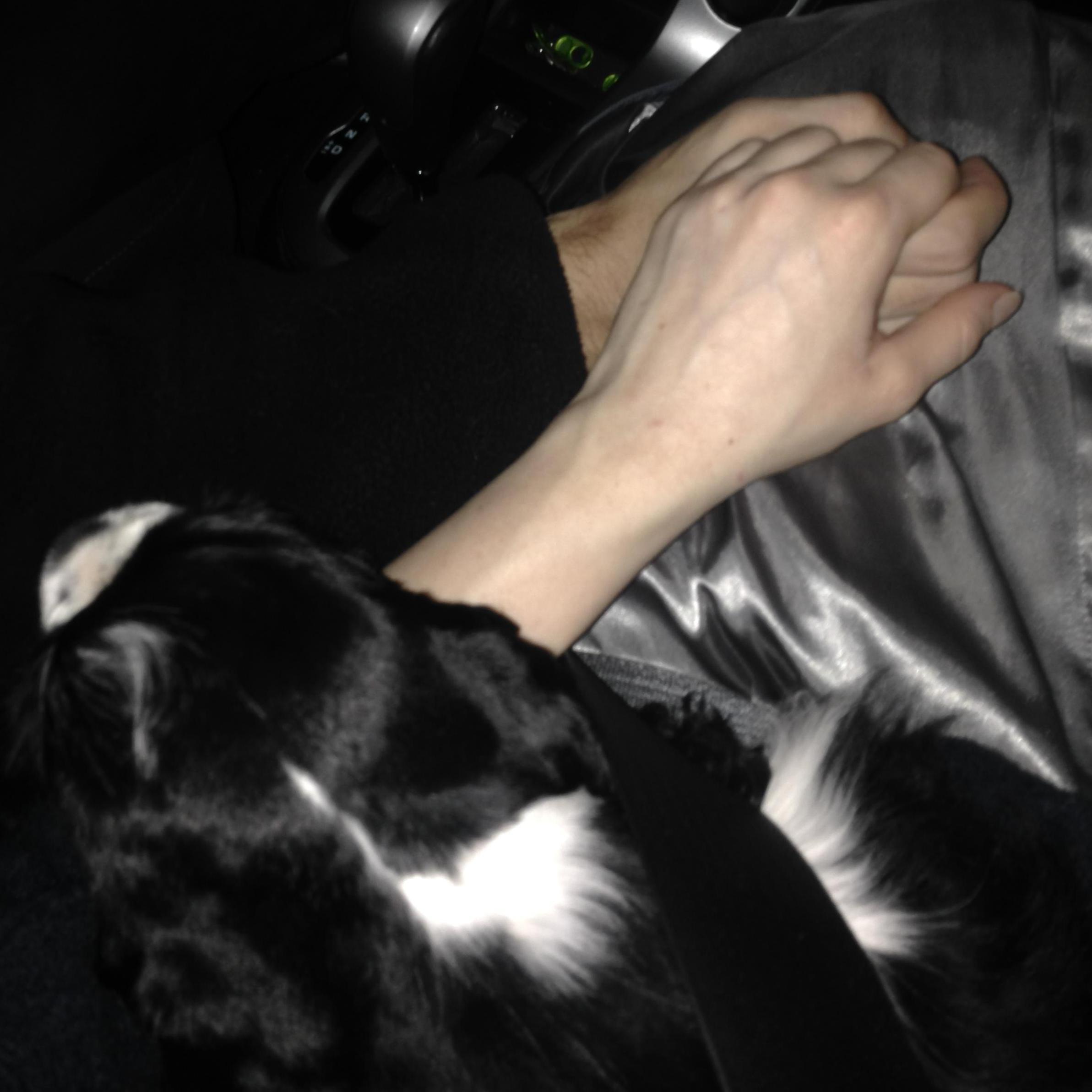 Dude's first day trip with us. He was wiped out and just had to be sure he was touching both of us on the ride home.