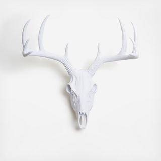 Resin Faux Taxidermy Deer Skull