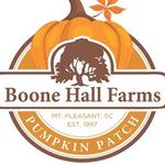 Boone Hall Pumpkin Patch & Corn Maze