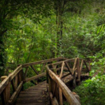 Mombacho Volcano Nature Reserve