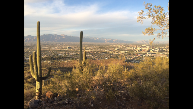 The Wedding Website of Wren Lapsansky and Chris Koch