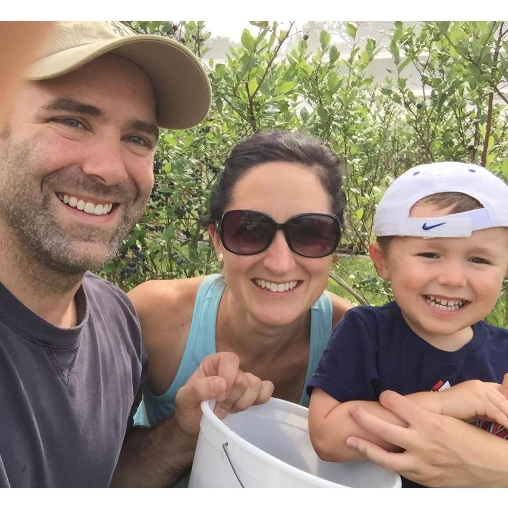 Blueberry picking July 2018.