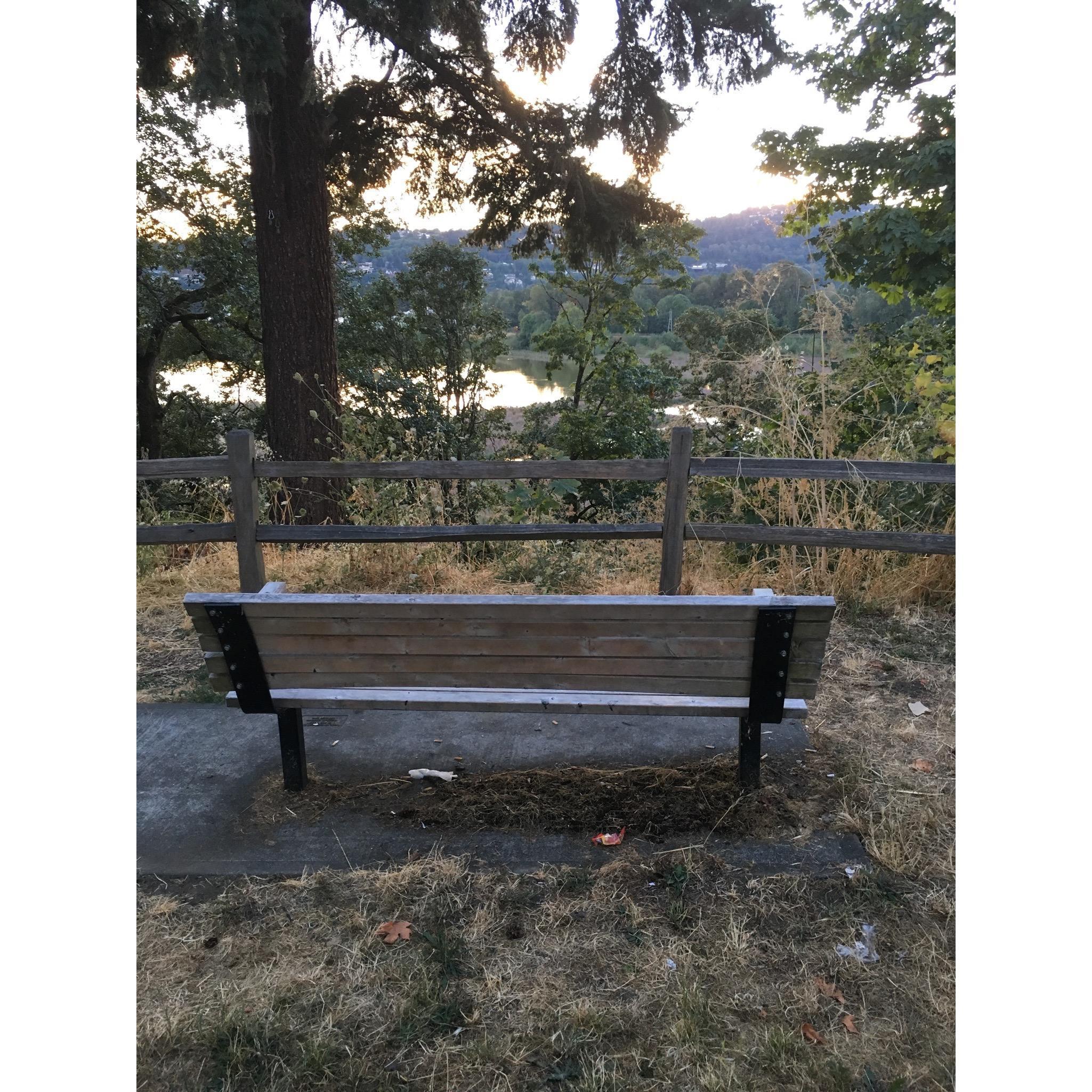 The bench in Oregon we first said "I love you" to each other.